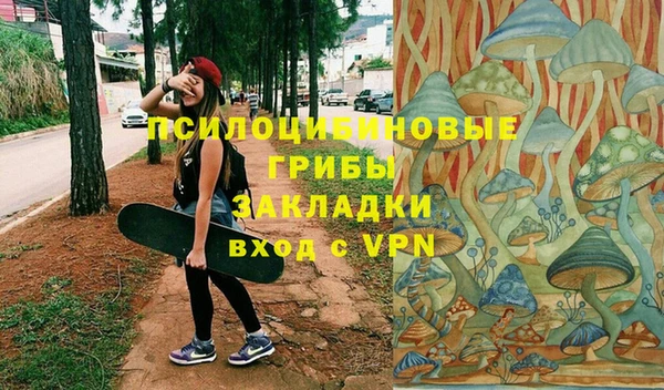 дживик Карталы