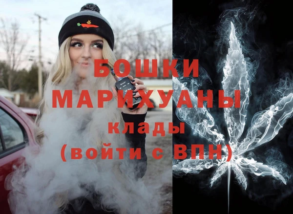 трава Коряжма