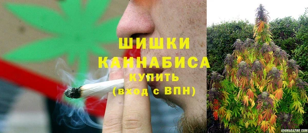 ECSTASY Костерёво